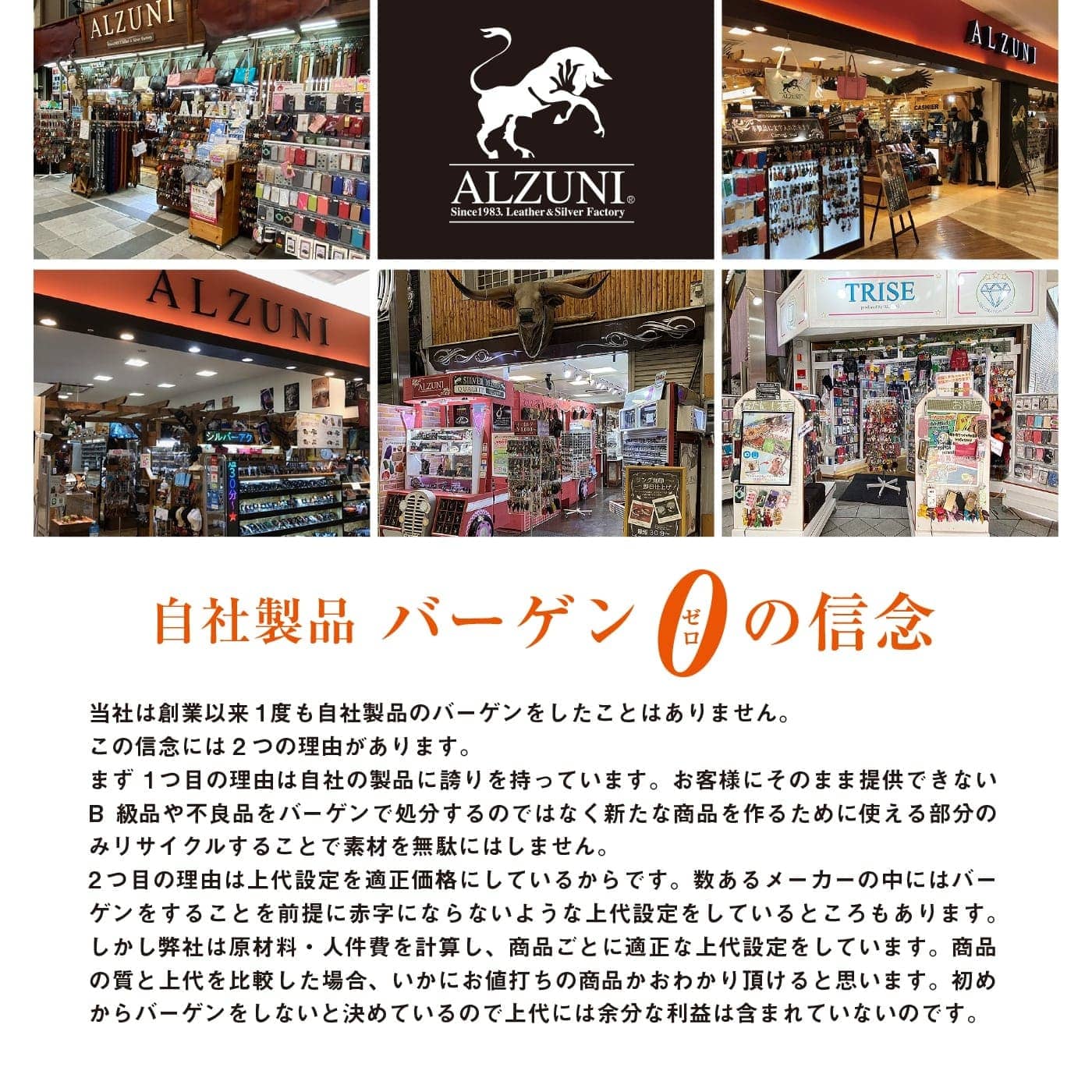 名古屋、東海地方、ショッピングセンター内のテナントなどアルズニの店舗外観