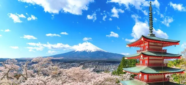 富士山と桜の風景