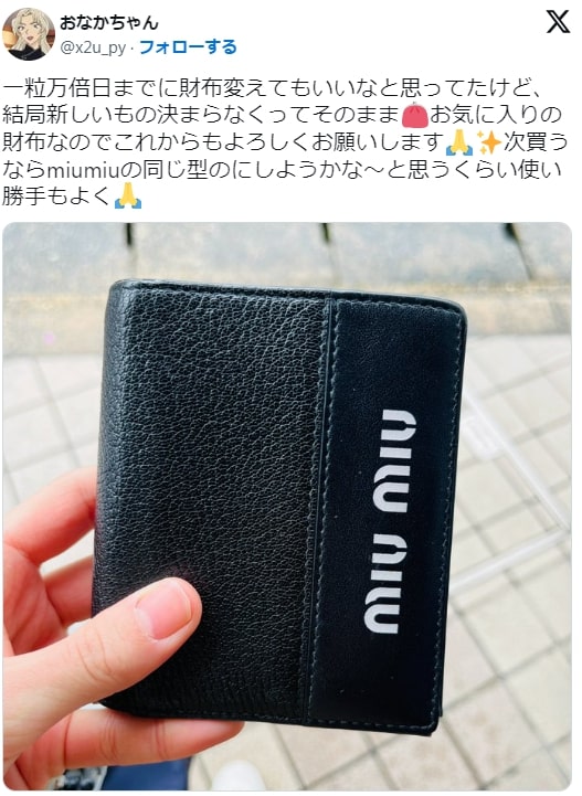 ダサい？】ミュウミュウ(MIUMIU)財布の口コミ評判は：長財布・二つ折り