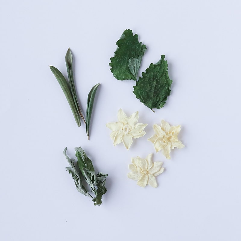 乾燥した緑の葉3種類と白い花