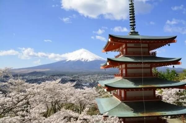 桜と富士山 風景