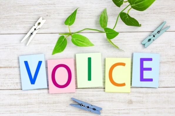 VOICE