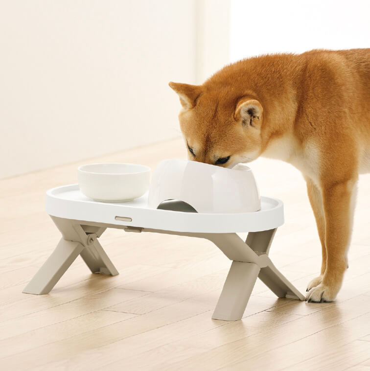 「犬の食器台」の特徴は?代用品はある?